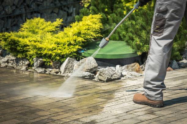 Best Oil Spill Cleanup  in Nneconne, WI